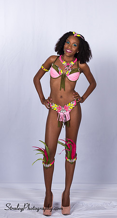 Summer Crew Costume 1- 2016 03 16 - 0323