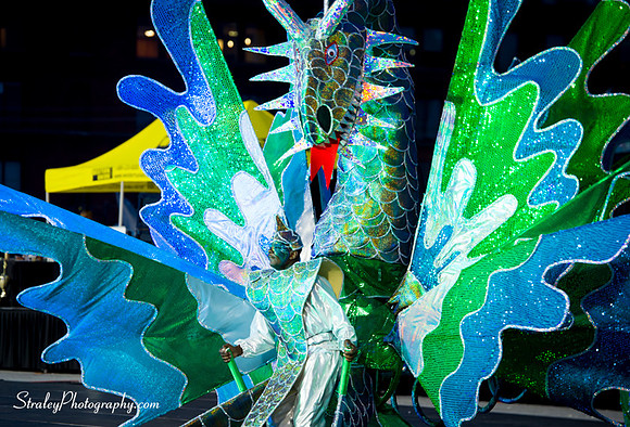 Toronto Carnival  2016 07 29 - 0402