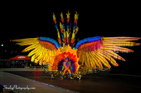 Toronto Carnival  2016 07 29 - 0767