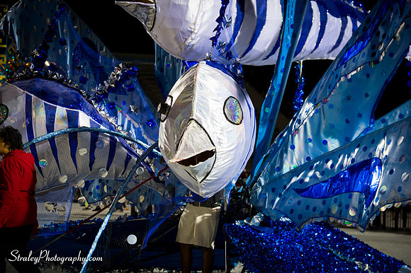 Toronto Carnival  2016 07 29 - 1159