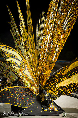 Toronto Carnival  2016 07 29 - 1074