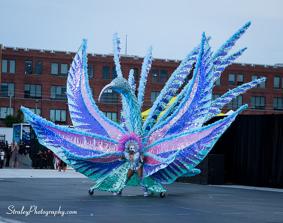 Toronto Carnival  2016 07 29 - 0116