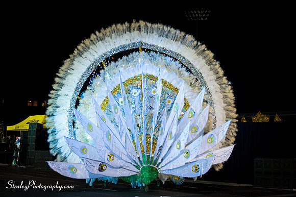 Toronto Carnival  2016 07 29 - 0863