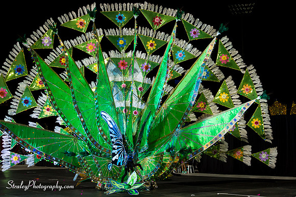 Toronto Carnival  2016 07 29 - 0703