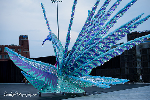 Toronto Carnival  2016 07 29 - 0102