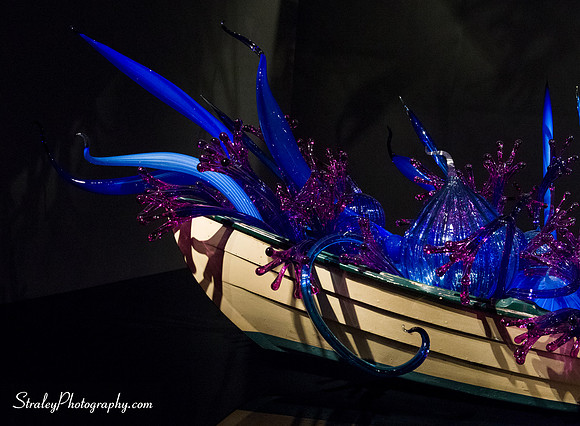 Royal Ontario Museum  2016 07 25 - 0016