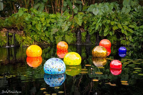 Chihuly at Fairchild Gardens  2015 01 08 - 0075