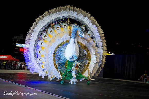 Toronto Carnival  2016 07 29 - 0876