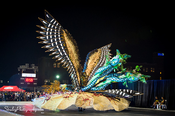 Toronto Carnival  2016 07 29 - 1034