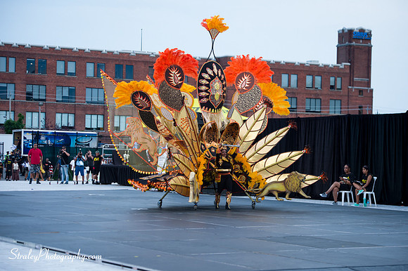 Toronto Carnival  2016 07 29 - 0056