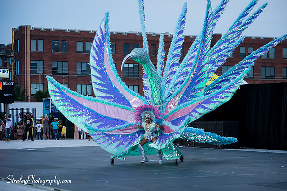 Toronto Carnival  2016 07 29 - 0150