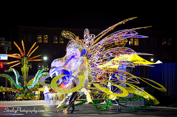 Toronto Carnival  2016 07 29 - 0987