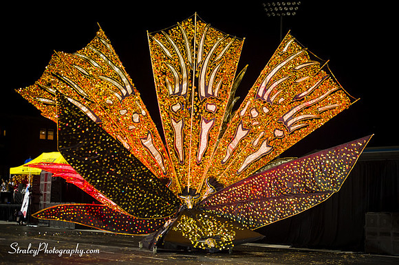 Toronto Carnival  2016 07 29 - 1084