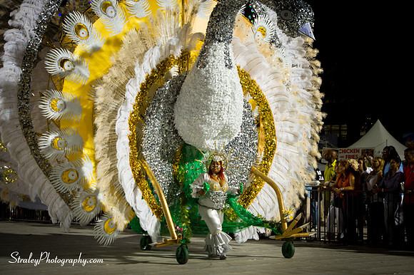 Toronto Carnival  2016 07 29 - 0825