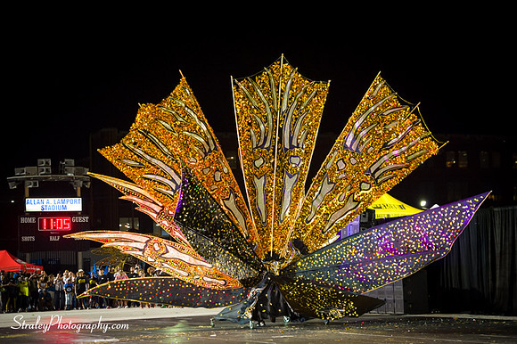 Toronto Carnival  2016 07 29 - 1121