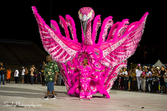 Toronto Carnival  2016 07 29 - 0628
