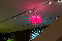 Royal Ontario Museum - Chihuli Exhibit