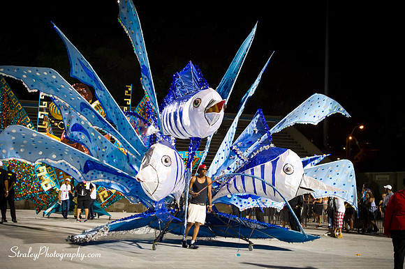 Toronto Carnival  2016 07 29 - 1148