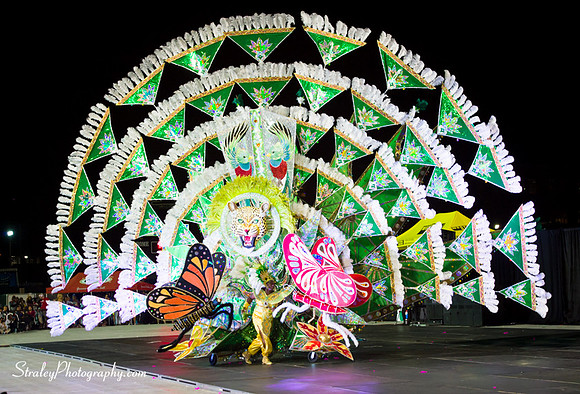 Toronto Carnival  2016 07 29 - 0707