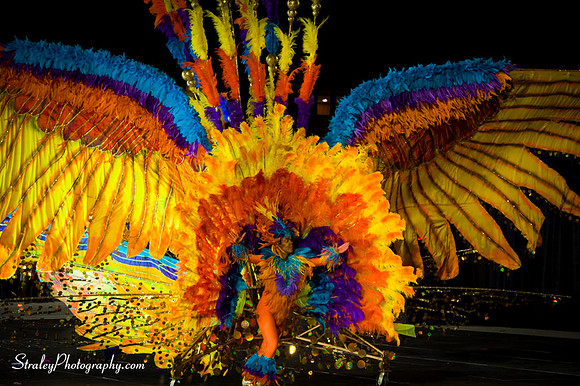 Toronto Carnival  2016 07 29 - 0771