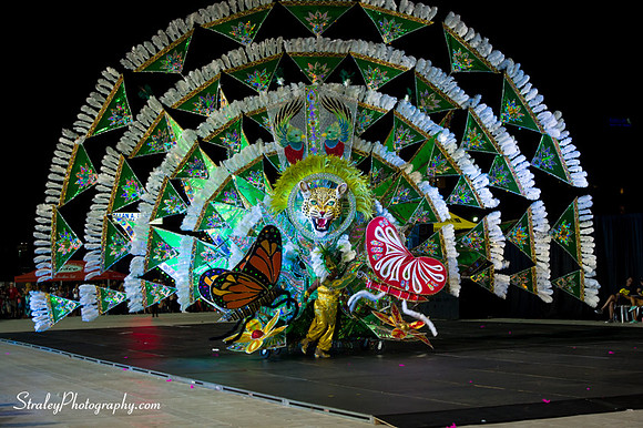 Toronto Carnival  2016 07 29 - 0709