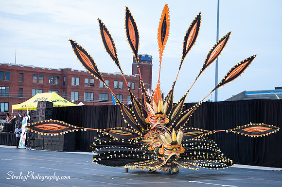 Toronto Carnival  2016 07 29 - 0262