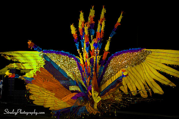 Toronto Carnival  2016 07 29 - 0773