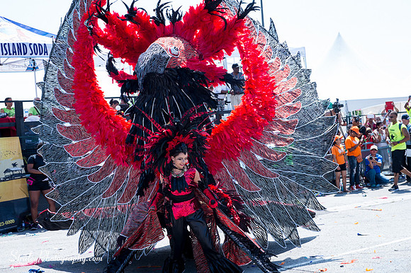Toronto Carnival 2016 07 30 - 0562