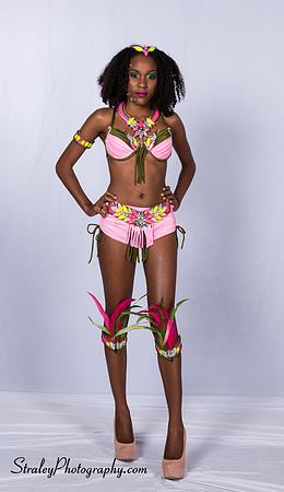 Summer Crew Costume 1- 2016 03 16 - 0422