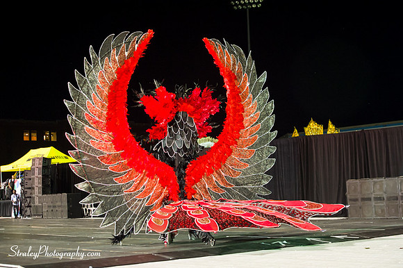 Toronto Carnival  2016 07 29 - 0618