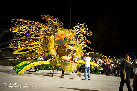 Toronto Carnival  2016 07 29 - 0947
