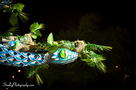 Toronto Carnival  2016 07 29 - 1023