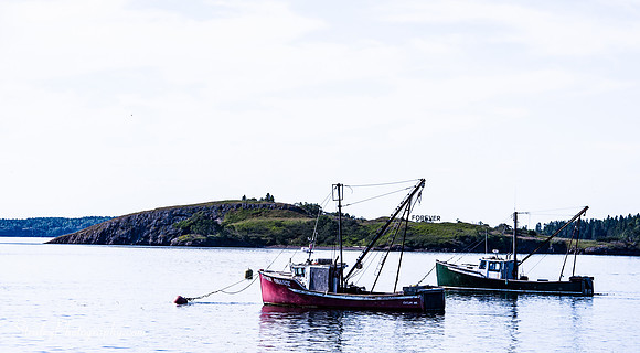 Lubec Maine 2016 07 11 - 0098