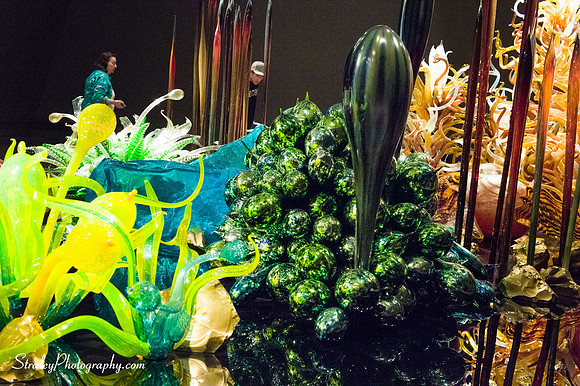 Royal Ontario Museum  2016 07 25 - 0025