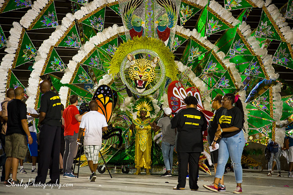 Toronto Carnival  2016 07 29 - 0695