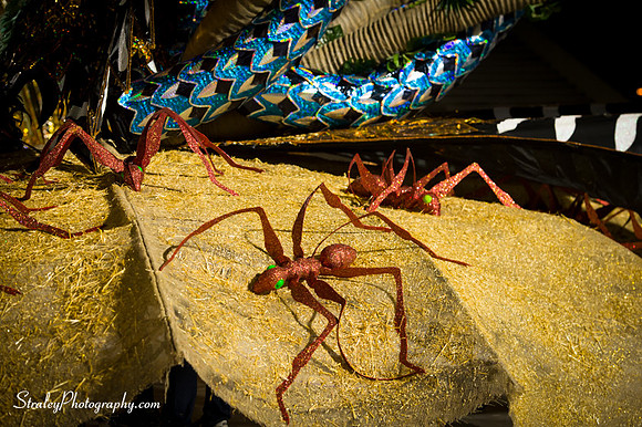 Toronto Carnival  2016 07 29 - 1022
