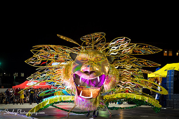Toronto Carnival  2016 07 29 - 0993