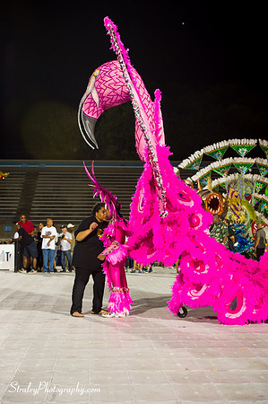 Toronto Carnival  2016 07 29 - 0644