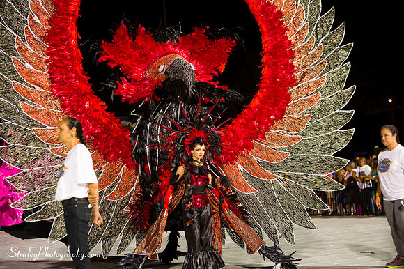 Toronto Carnival  2016 07 29 - 0602