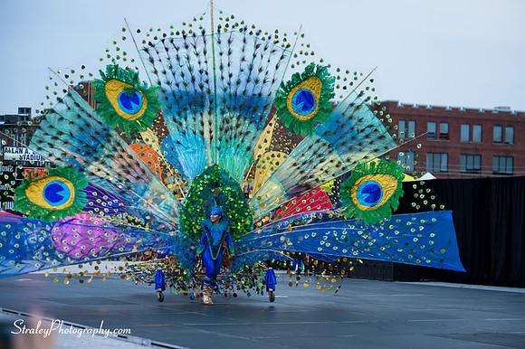 Toronto Carnival  2016 07 29 - 0092