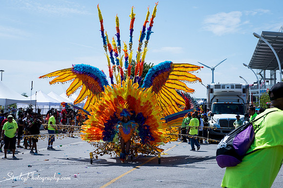 Toronto Carnival 2016 07 30 - 0535