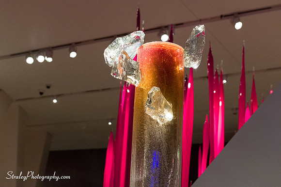 Royal Ontario Museum  2016 07 25 - 0043