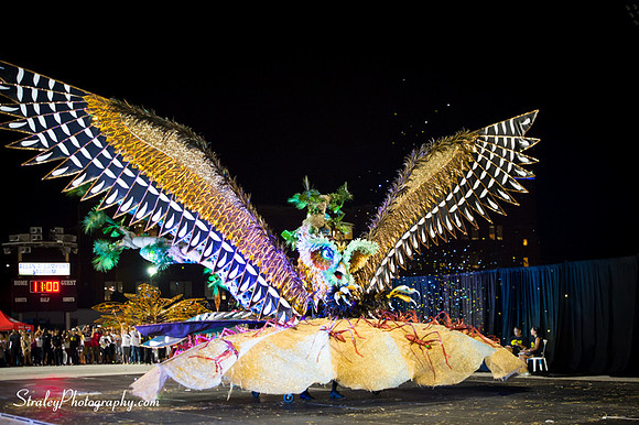 Toronto Carnival  2016 07 29 - 1060