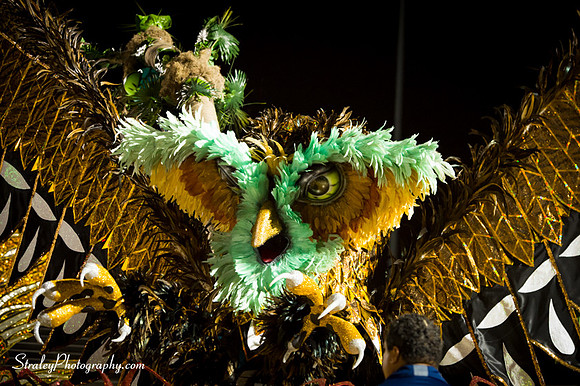 Toronto Carnival  2016 07 29 - 1012