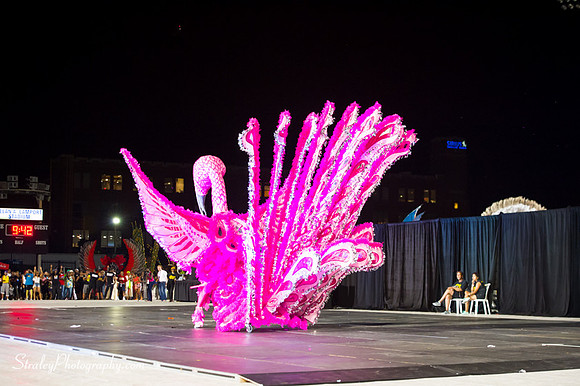 Toronto Carnival  2016 07 29 - 0648