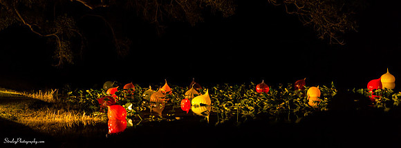 Chihuly at Fairchild Gardens  2015 01 08 - 0258