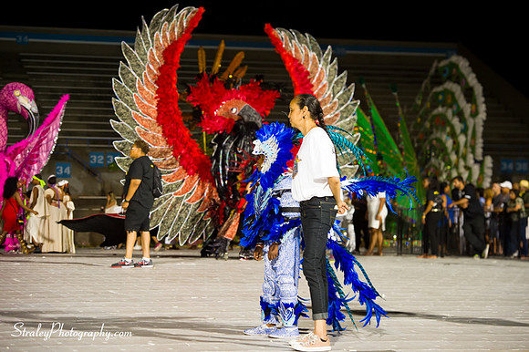 Toronto Carnival  2016 07 29 - 0594