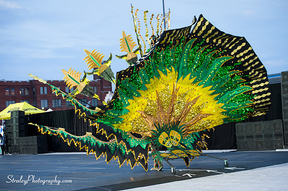 Toronto Carnival  2016 07 29 - 0296