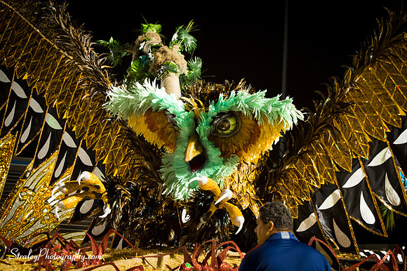 Toronto Carnival  2016 07 29 - 1013