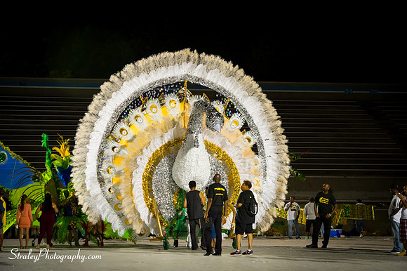Toronto Carnival  2016 07 29 - 0812